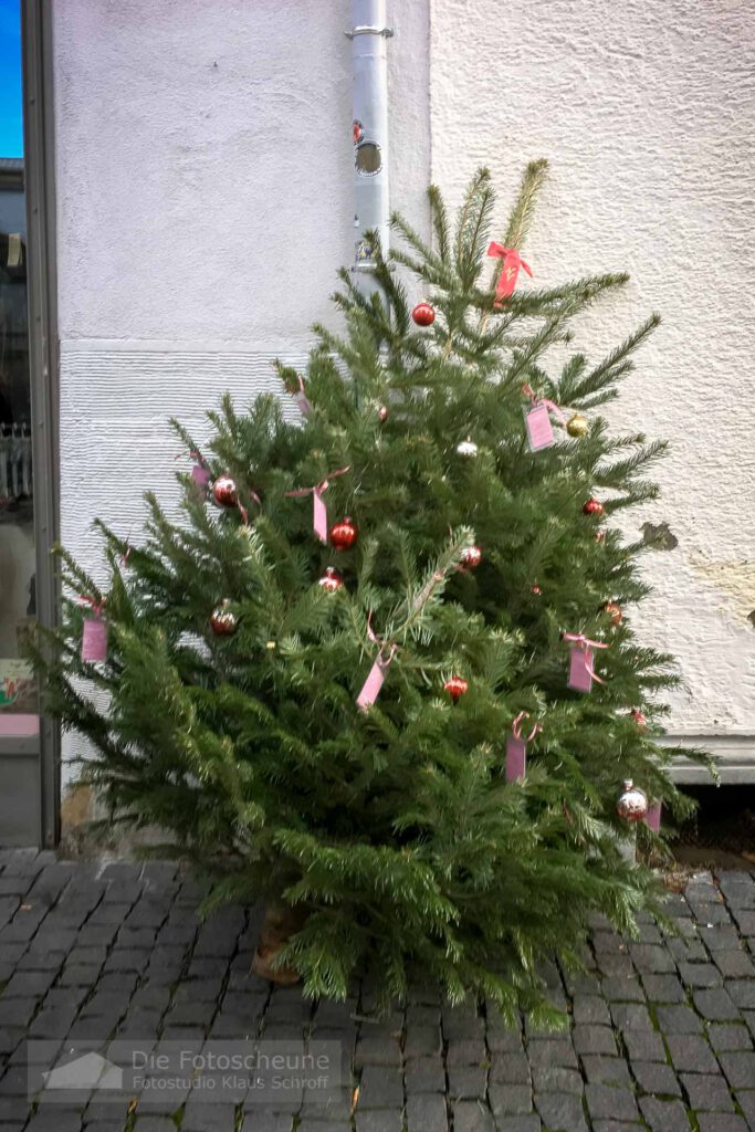 Weihnachtsbaum auf der Straße in der Niederburg 