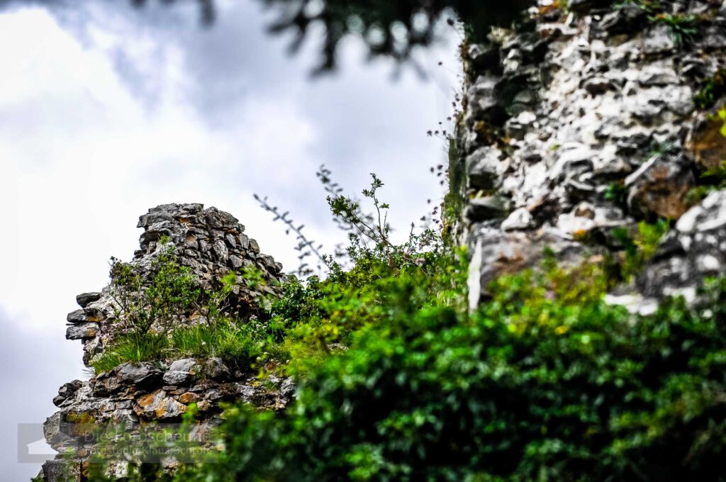 Ruine Burg Mägdeberg