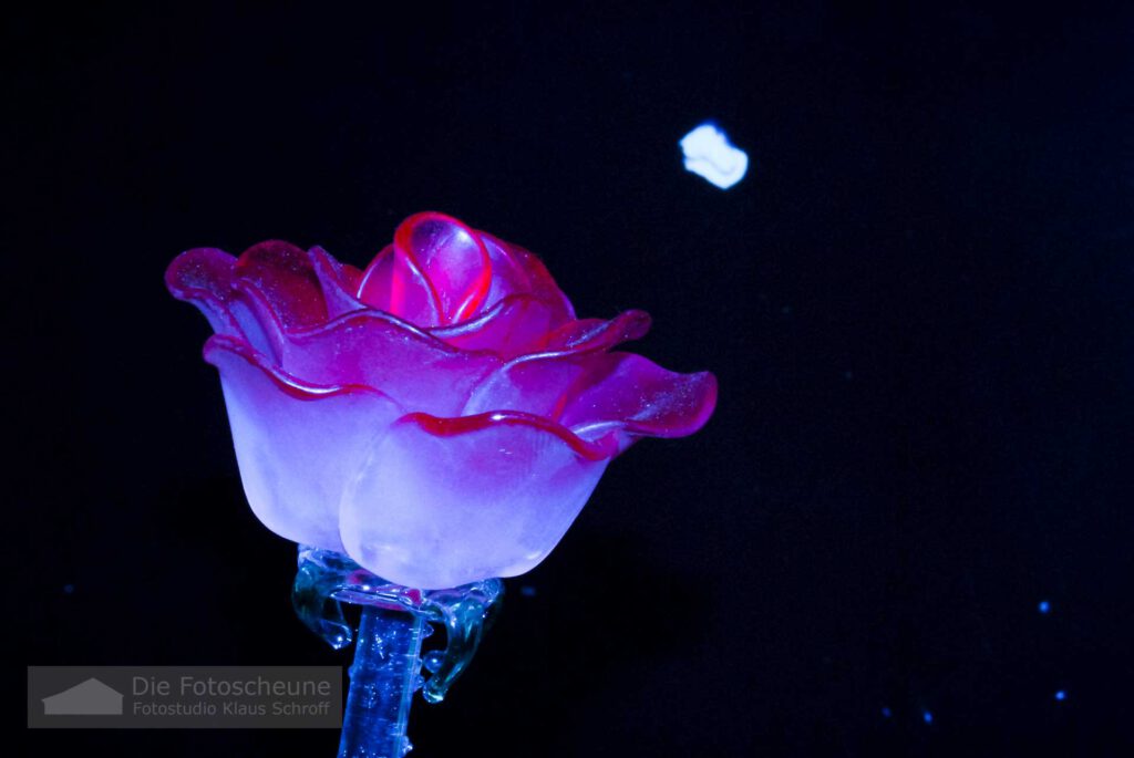 Glasrose auf dem Weihnachtsmarkt Straßburg