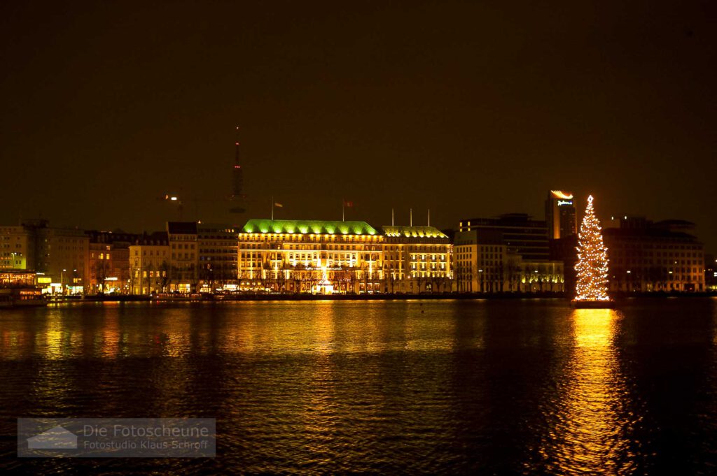 Alstertanne Hamburg