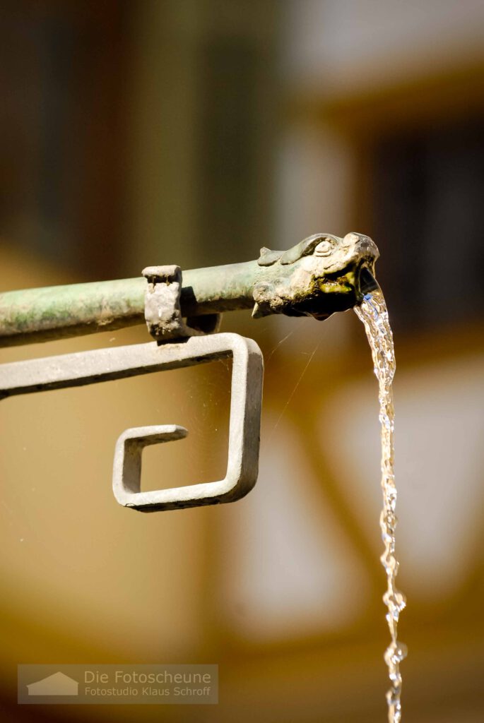 Brunnen in Tübingen detail