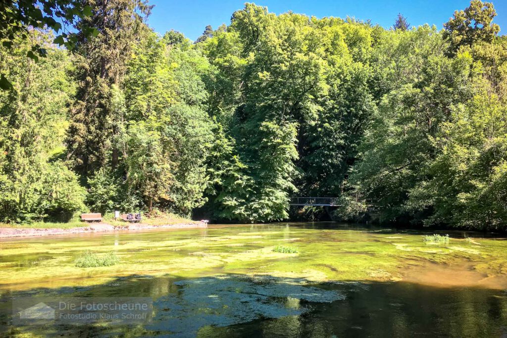 Karstquelle mit kleinem See in der Stadt Aach im Hegau