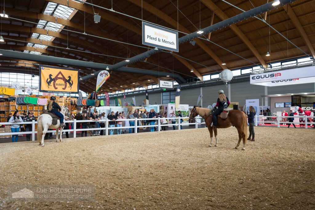 Pferd Bodensee Reitring Western