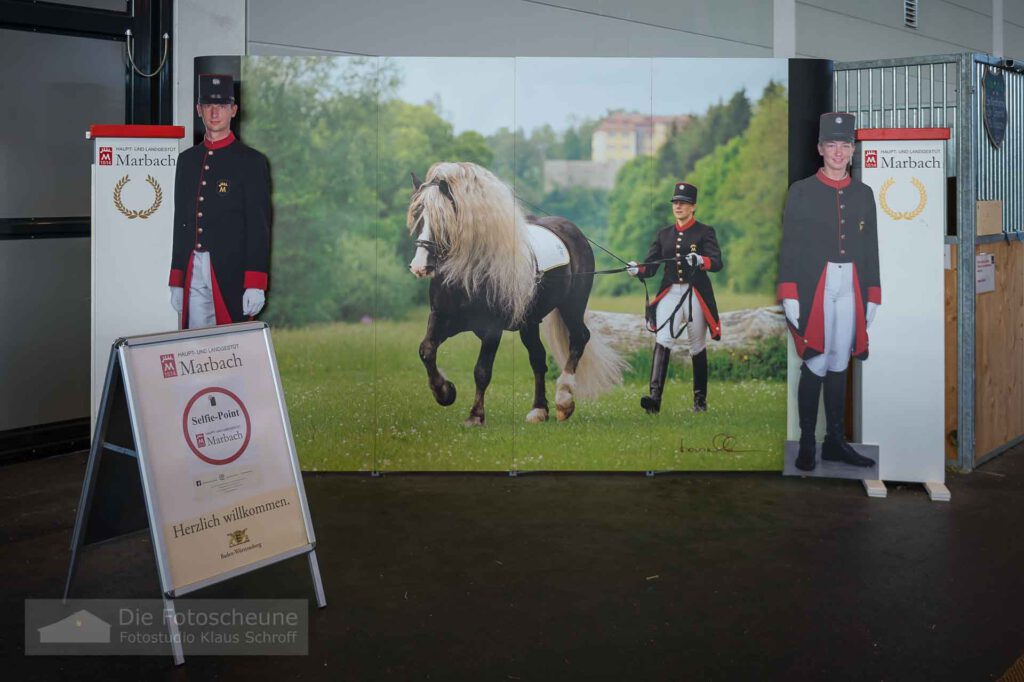 Landesgestüt Marbach aus Baden-Württemberg