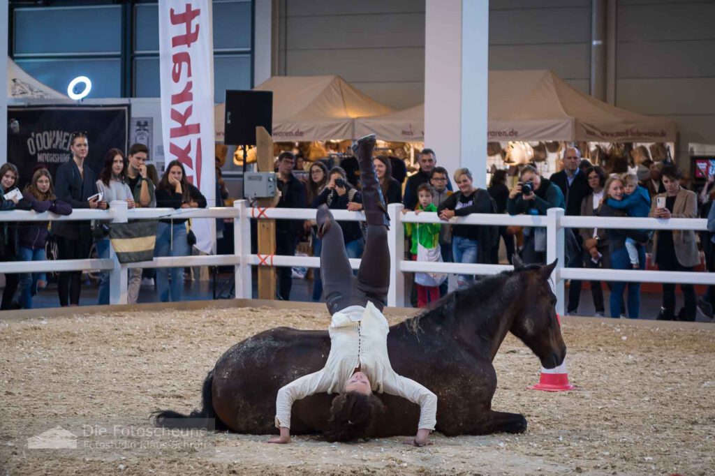 Pferd Bodensee 