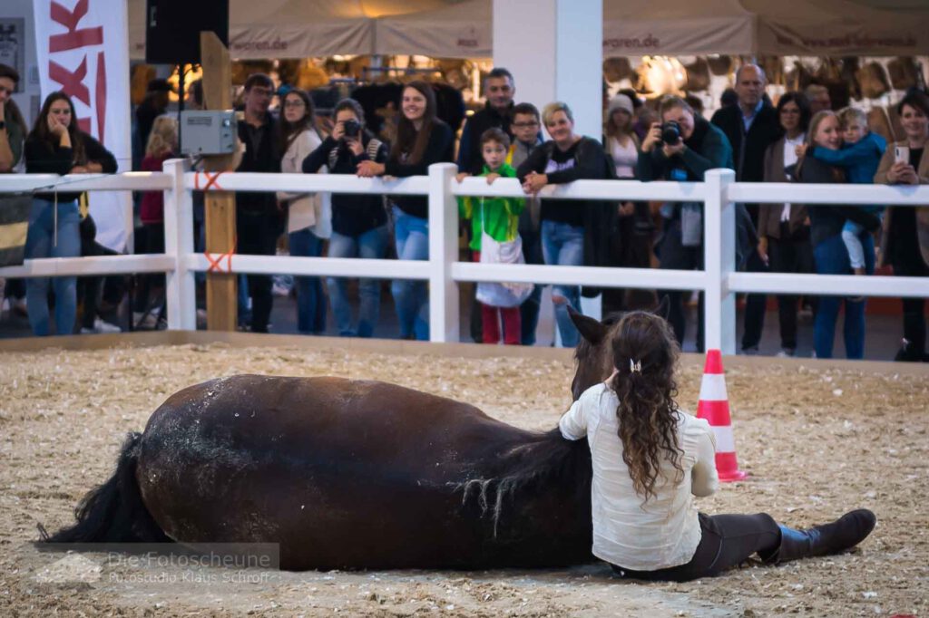 im Einklang mit dem Tier auf der Pferd Bodensee