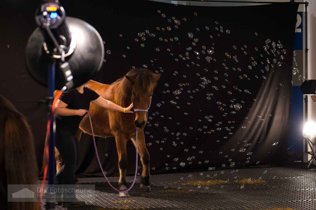 Fotoshooting mit Pferden auf der Messe Friedrichshafen 